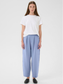 Hose Pannie (30109192-173912) von InWear in Wild Wind