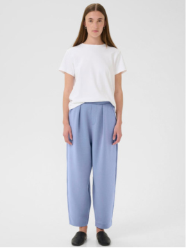 Hose Pannie (30109192-173912) von InWear in Wild Wind